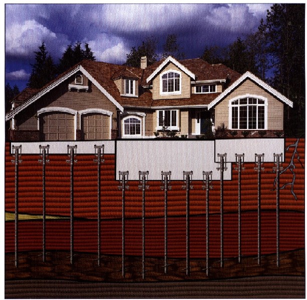 websitepics2_001